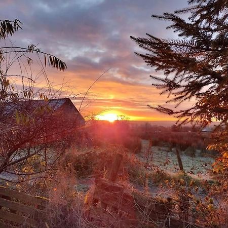 Forest View Cabin Ballaghaderreen المظهر الخارجي الصورة