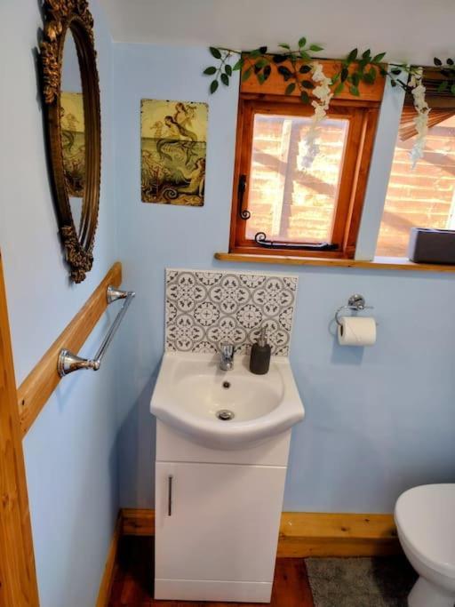 Forest View Cabin Ballaghaderreen المظهر الخارجي الصورة