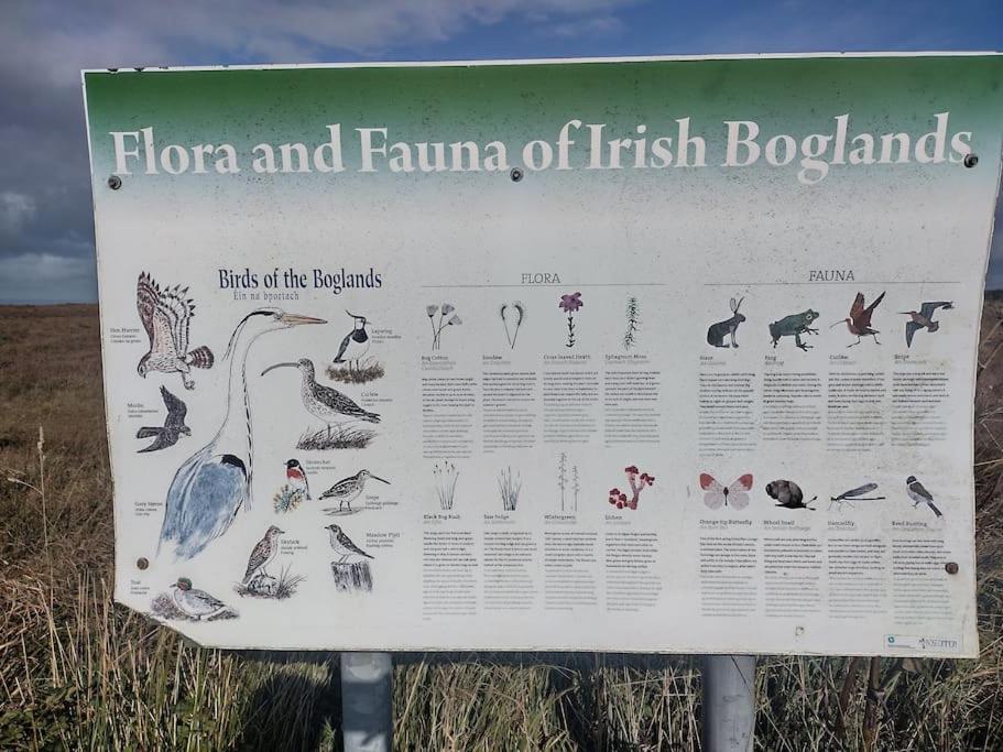Forest View Cabin Ballaghaderreen المظهر الخارجي الصورة