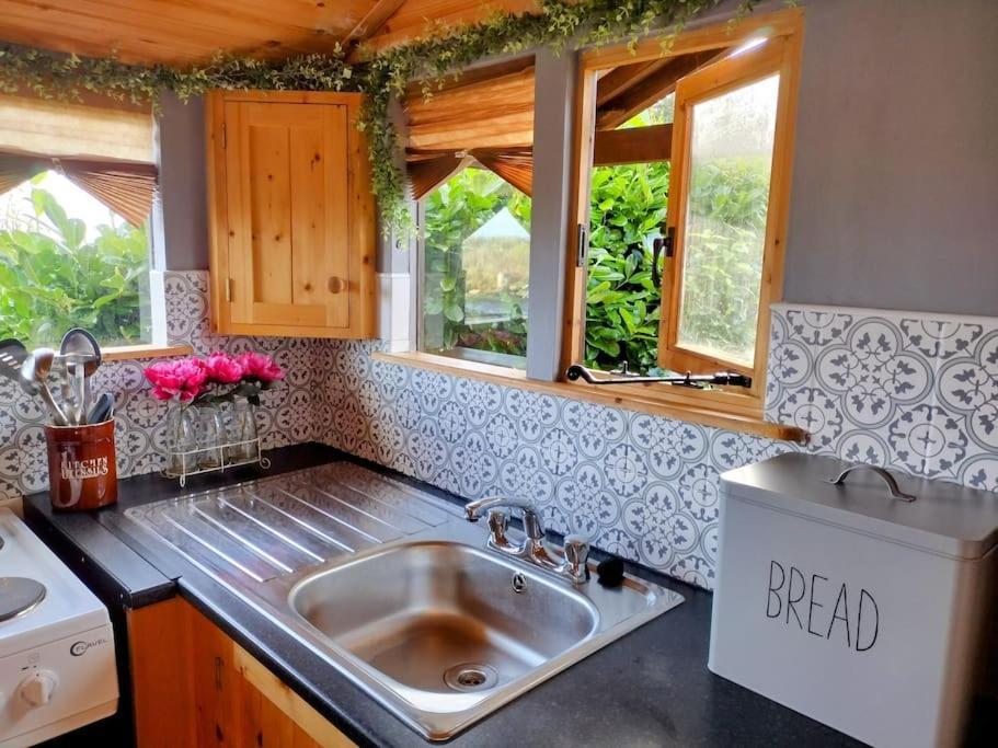 Forest View Cabin Ballaghaderreen المظهر الخارجي الصورة