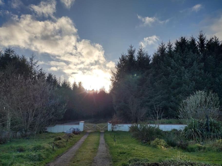 Forest View Cabin Ballaghaderreen المظهر الخارجي الصورة