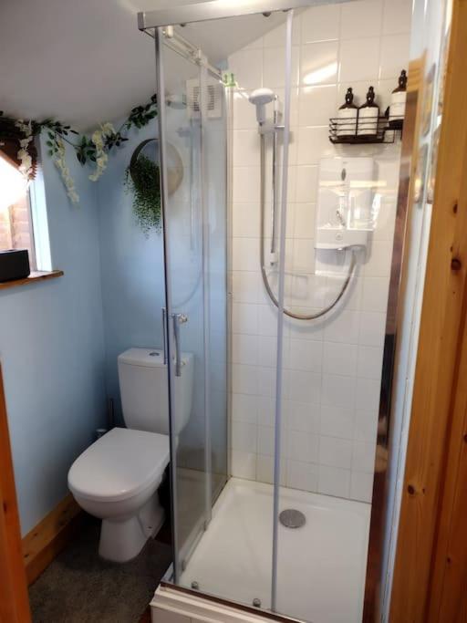 Forest View Cabin Ballaghaderreen المظهر الخارجي الصورة