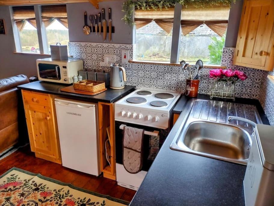 Forest View Cabin Ballaghaderreen المظهر الخارجي الصورة