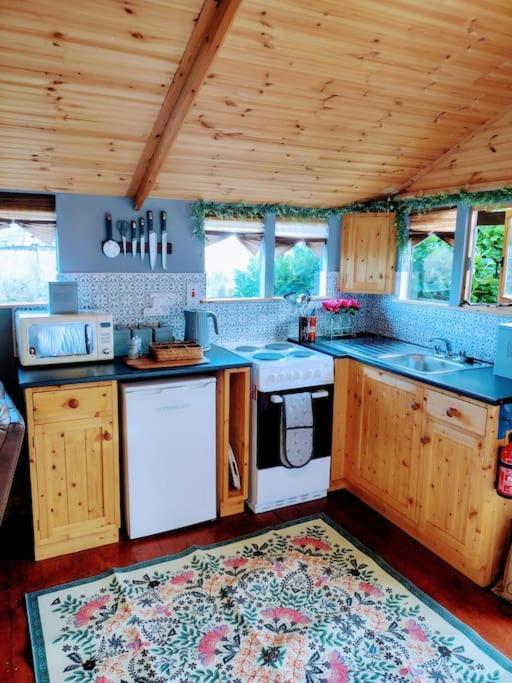 Forest View Cabin Ballaghaderreen المظهر الخارجي الصورة